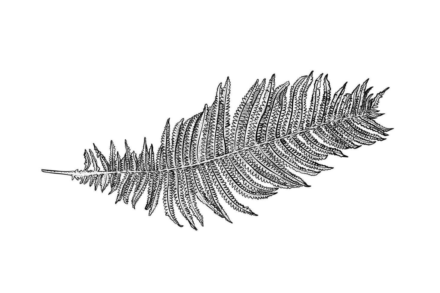 Fern & Fable Ceramics